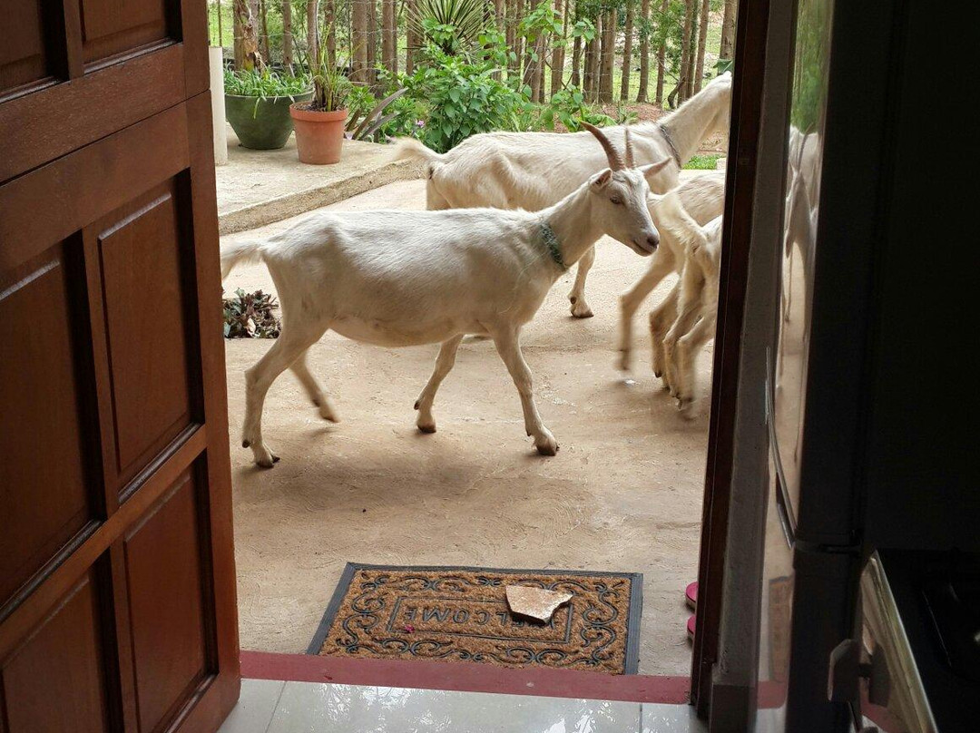 Cheese Farm & Lodge-Mtubatuba必去景点