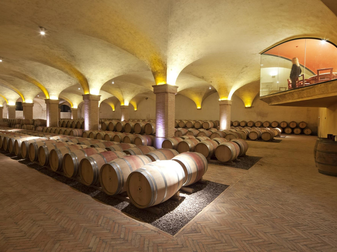 Castiglion del Bosco Winery景点图片