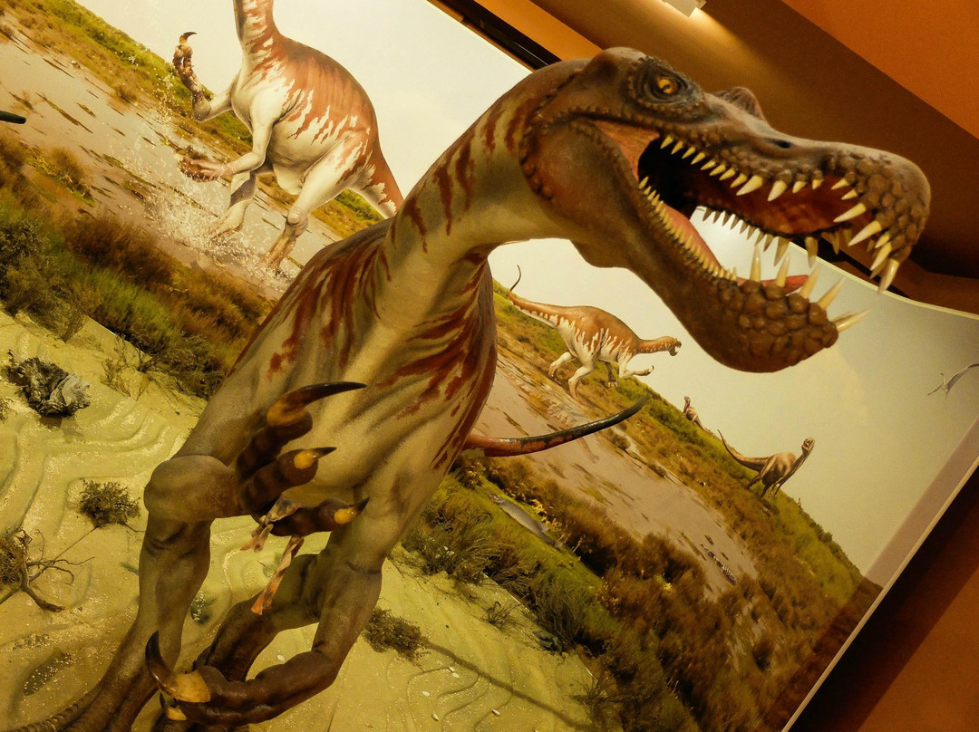 Centro de Interpretacion Paleontologica de La Rioja景点图片