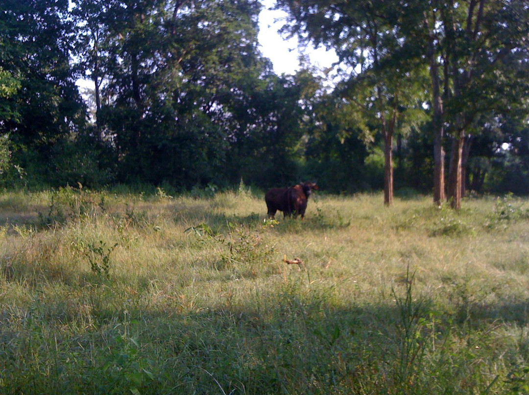 Palamau Tiger Reserve-Palamu District必去景点