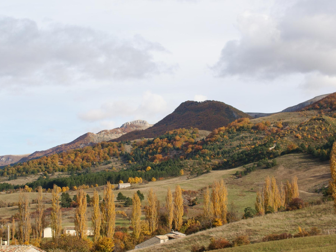 Office de Tourisme Baronnies en Drôme provençale - Bureau de Sederon景点图片