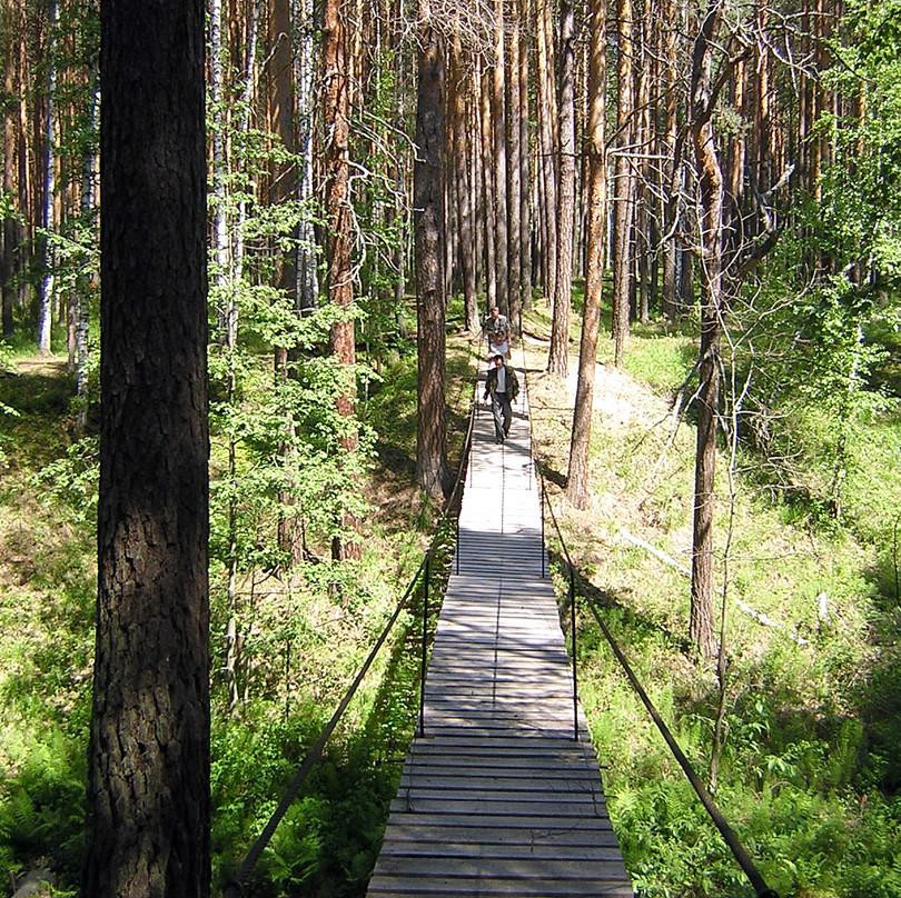 National Park Pripyshminskiye Bory景点图片