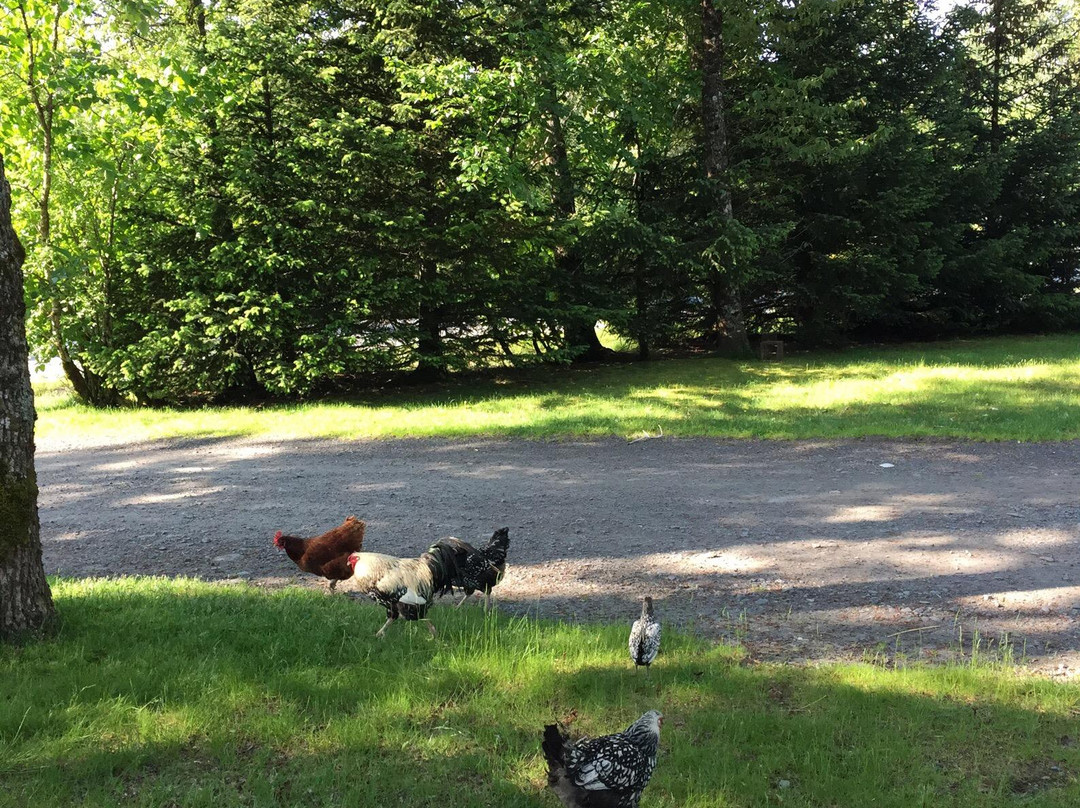 Eider House Bed & Breakfast主图