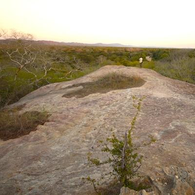 Mwabvi Game Reserve-Nsanje必去景点
