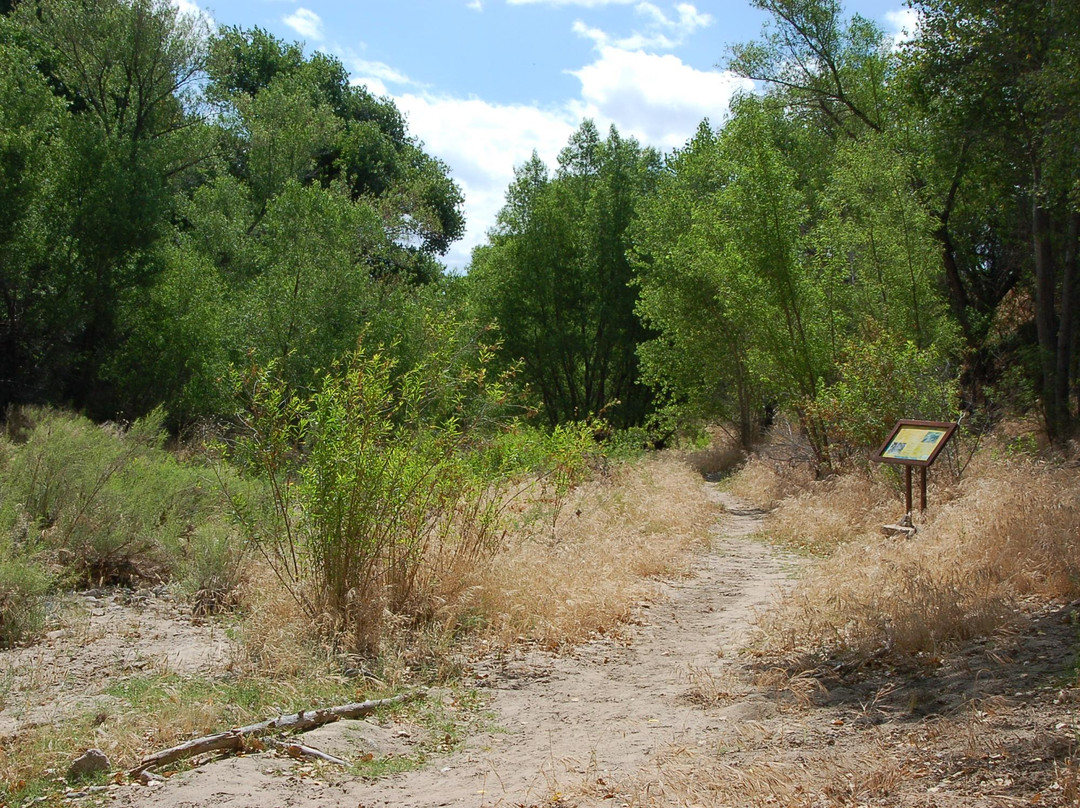 Hassayampa River Preserve-Wickenburg必去景点