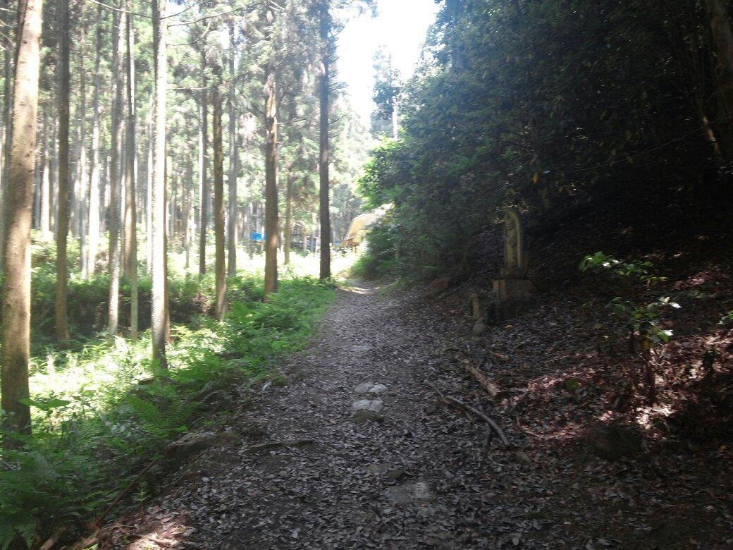 Momoo no Taki Falls-天理市必去景点