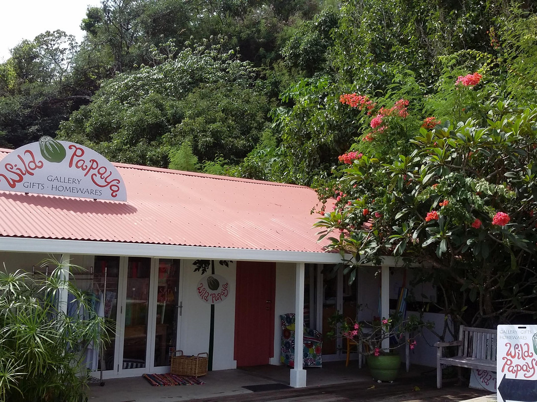 Flying Fish Cove旅游景点-Wild Papaya