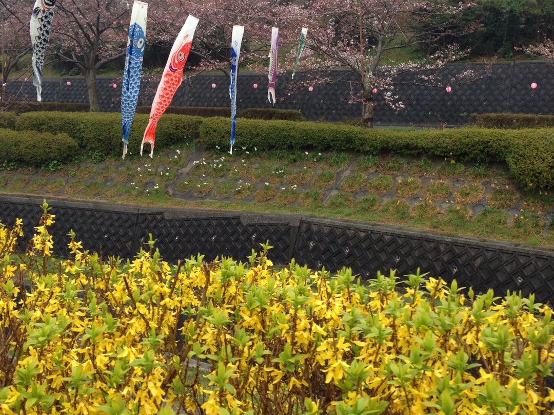 Takigashira Park-田原市必去景点