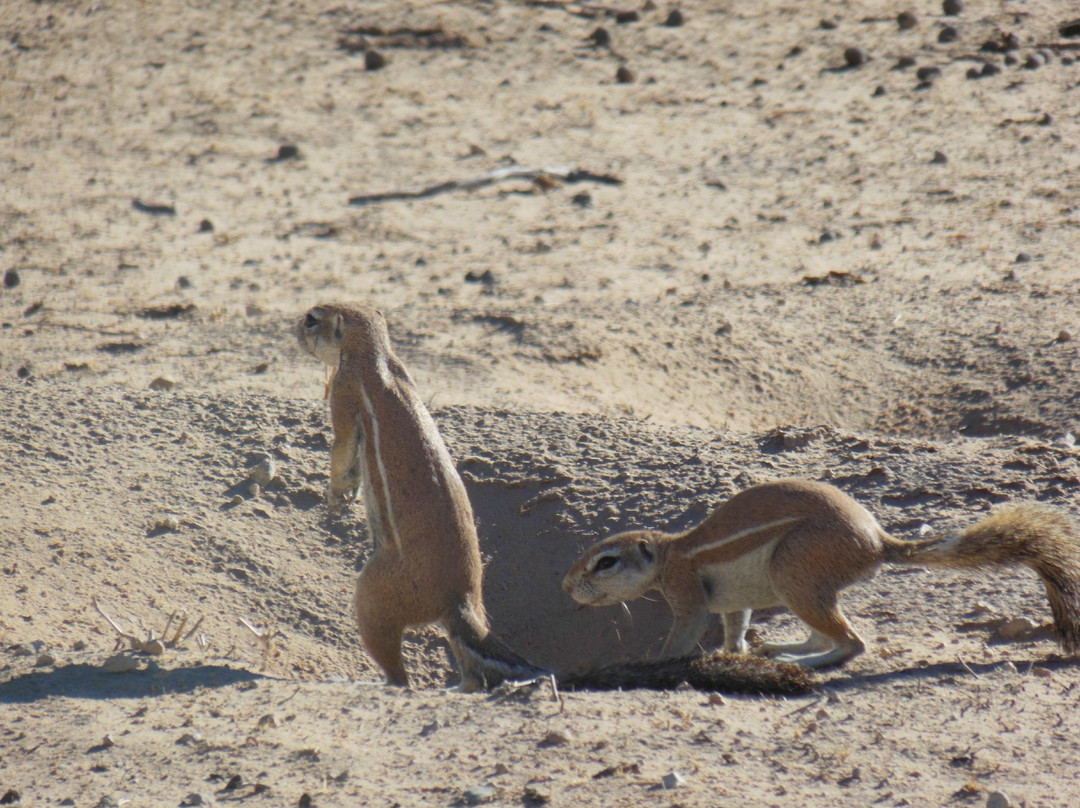 Macit Tours - Day Tours-桑顿必去景点