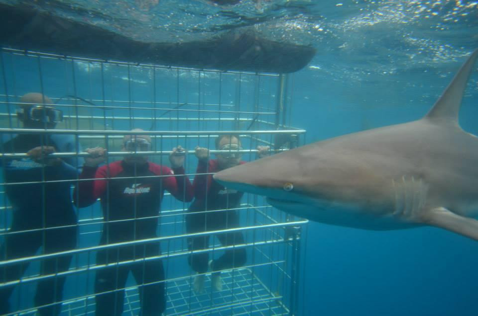 Julnic Tours-德班必去景点