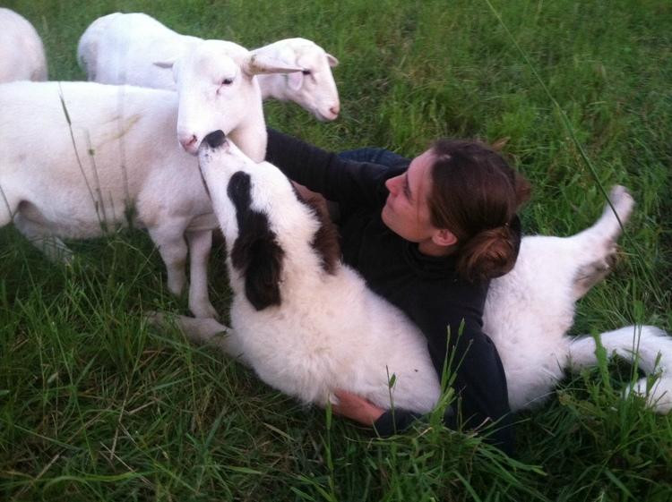 Mace Chasm Farm-Keeseville必去景点