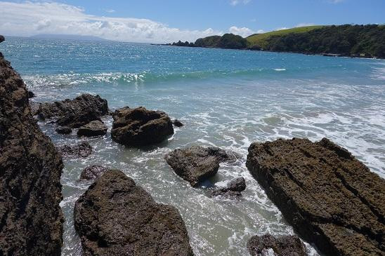 Tawharanui Regional Park-瓦卡沃夫必去景点
