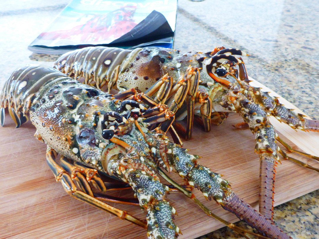 One Stop Sporting Shop-North Caicos必去景点