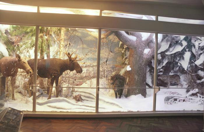 Mordovian Republican Joint Local Lore Museum景点图片