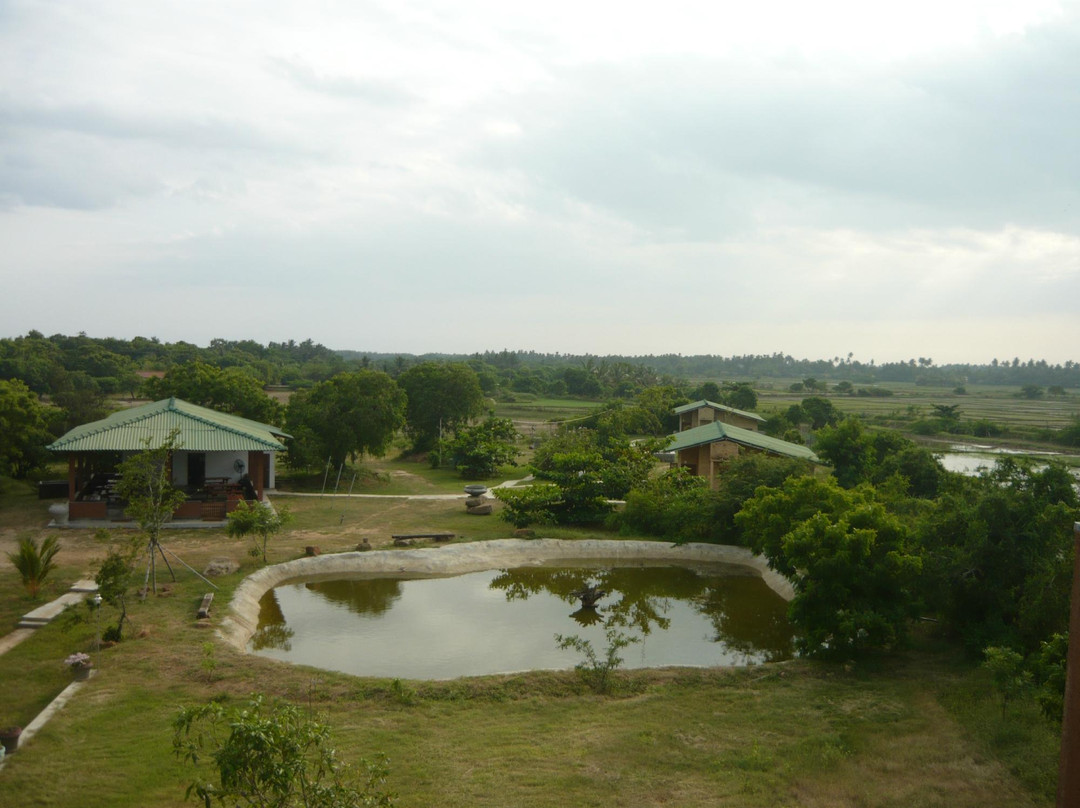 Crazy Peacock Holiday Resort主图