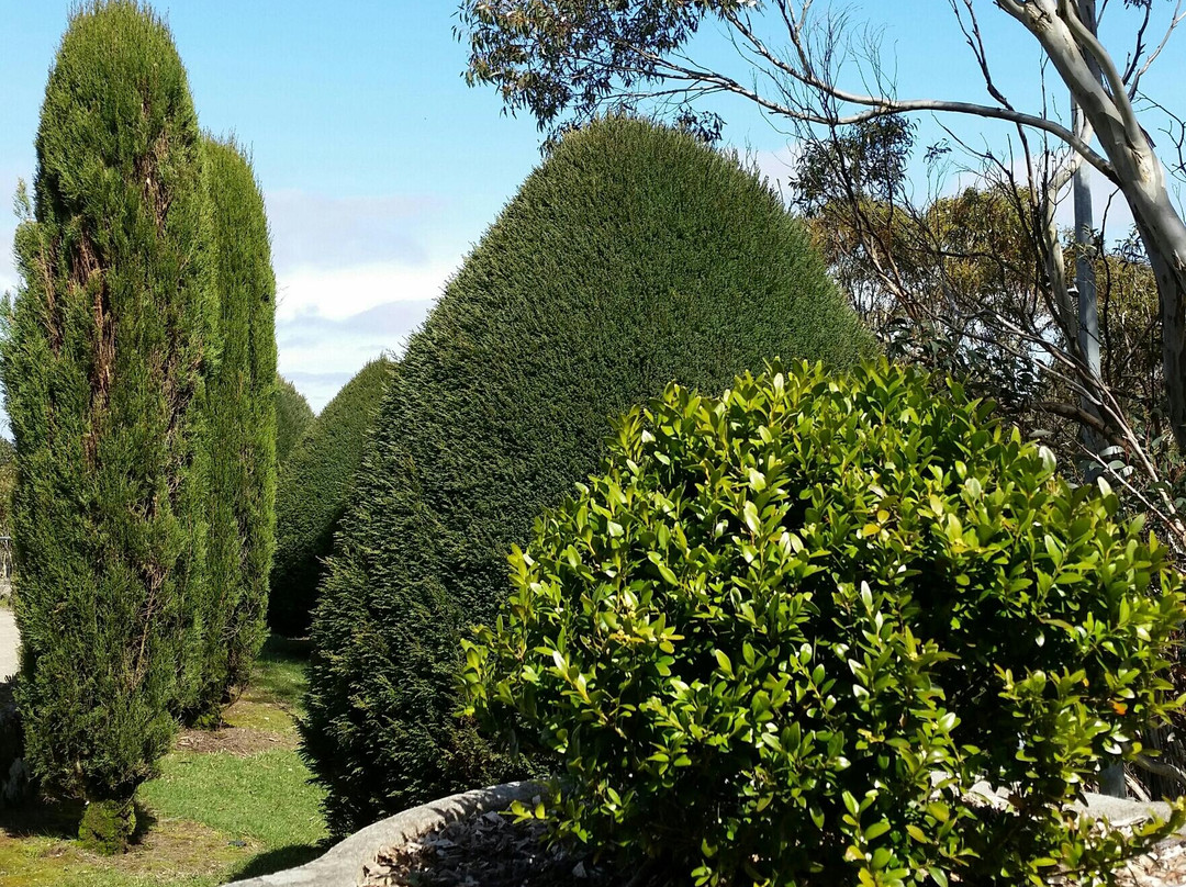 Mount Macedon-马其顿必去景点