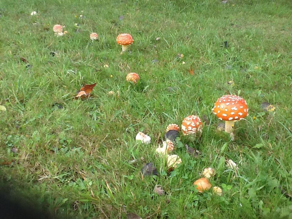 Vashon Island-Vashon必去景点