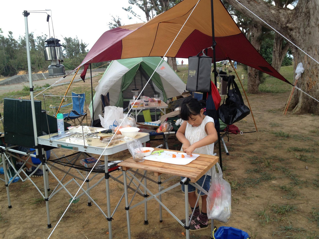 Nature Miraikan主图