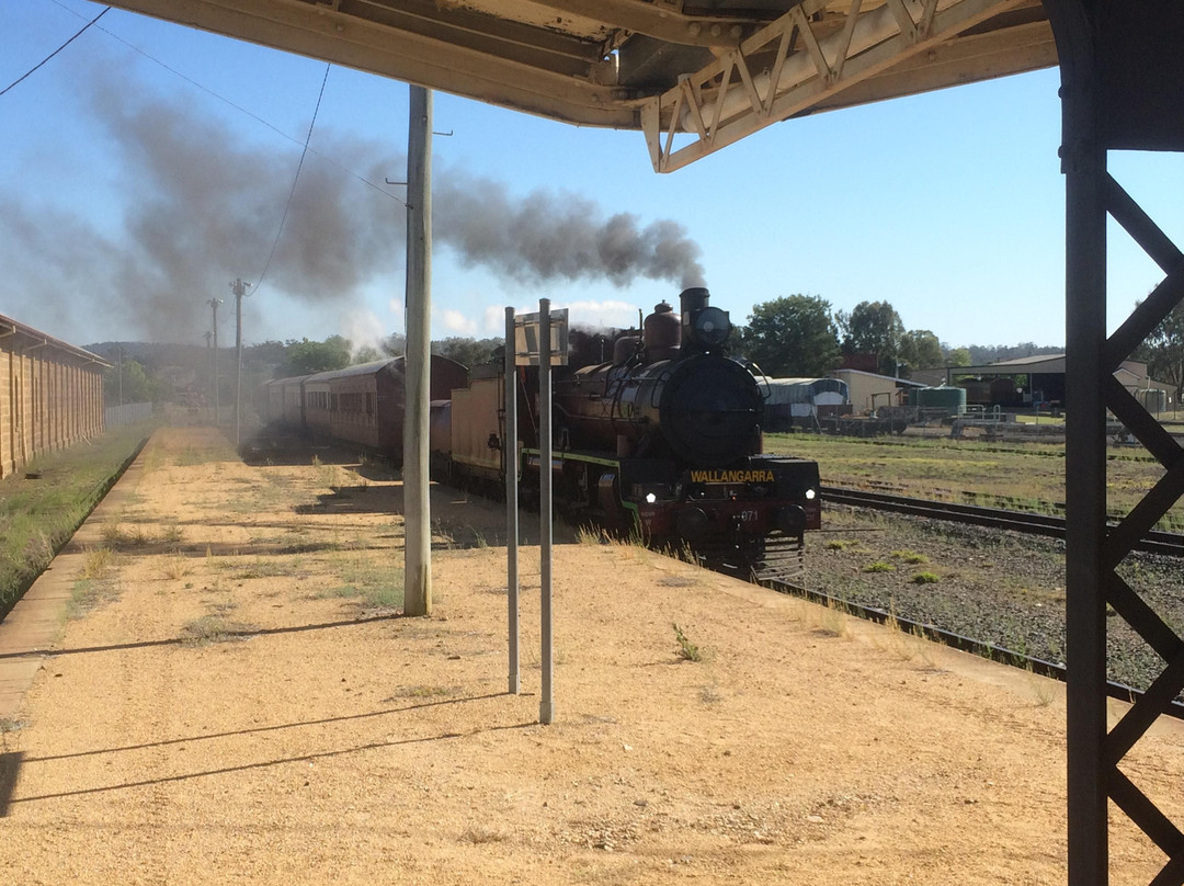 Southern Downs Steam Railway景点图片