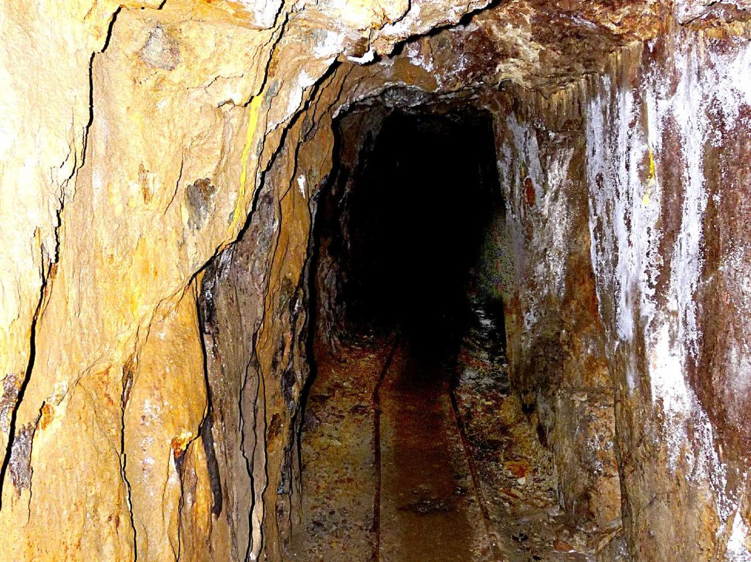 RoamWild Tasmania-皇后镇必去景点