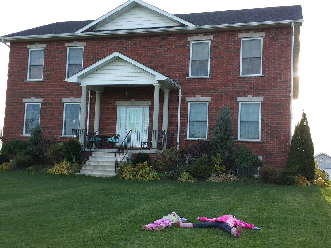 Hackney Horse B&B主图