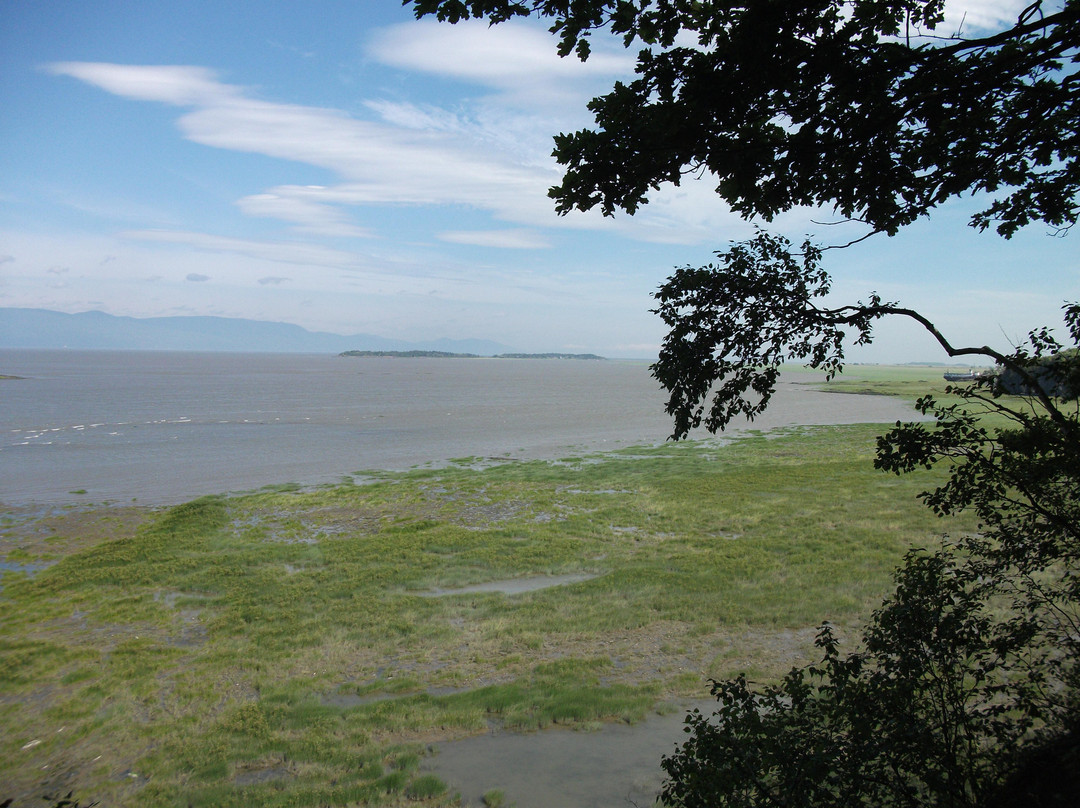 Pointe aux Pins-Réserve Naturelle Jean-Paul Riopelle景点图片