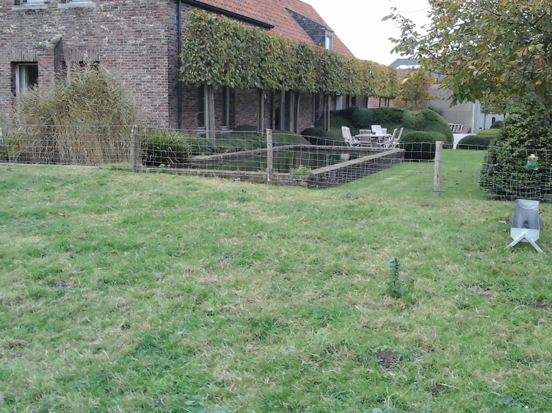 B&B De Hulst主图