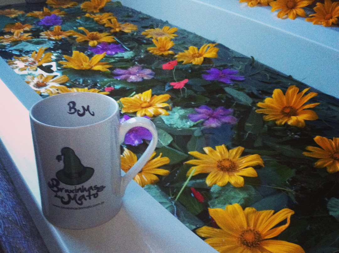 Bruxinhas do Mato-Sao Francisco Xavier必去景点