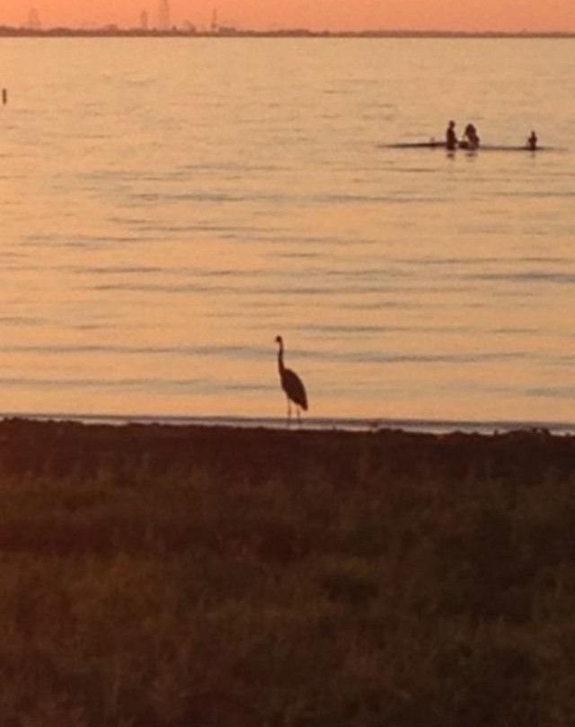 Huron Harbor and Pier-Huron必去景点