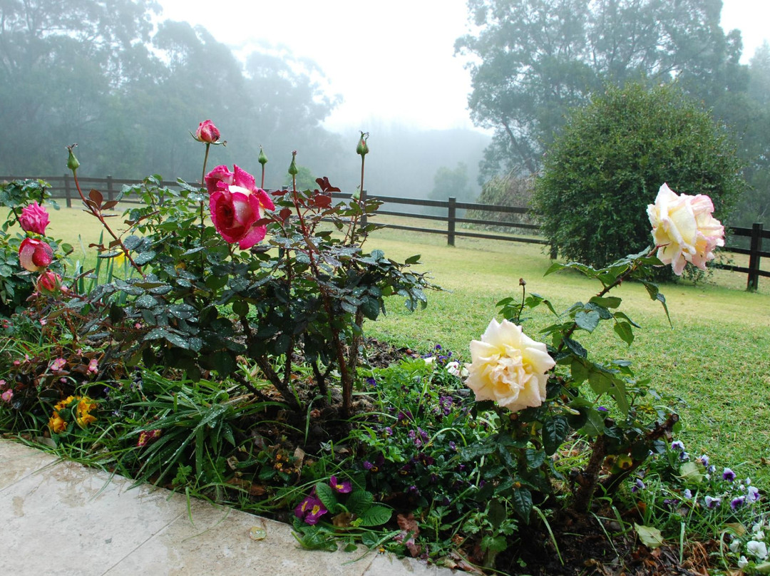 Karralika Springs B&B Mountain Retreat主图