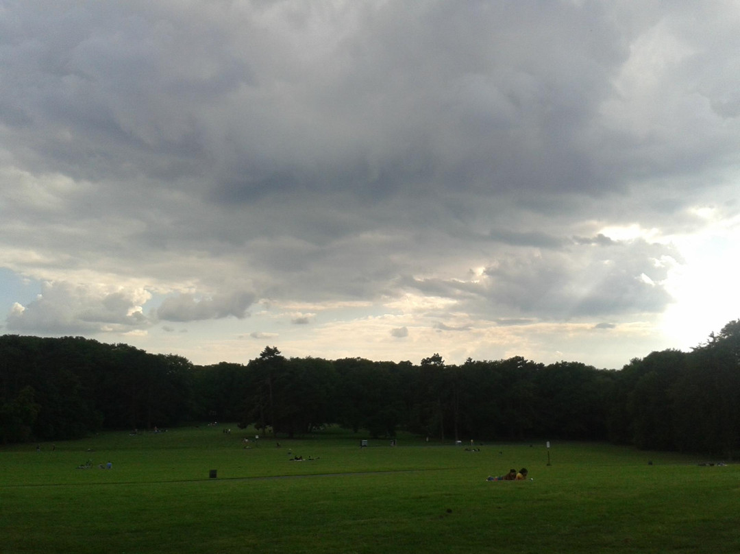 Prinz-Albrecht-Park-布伦瑞克必去景点