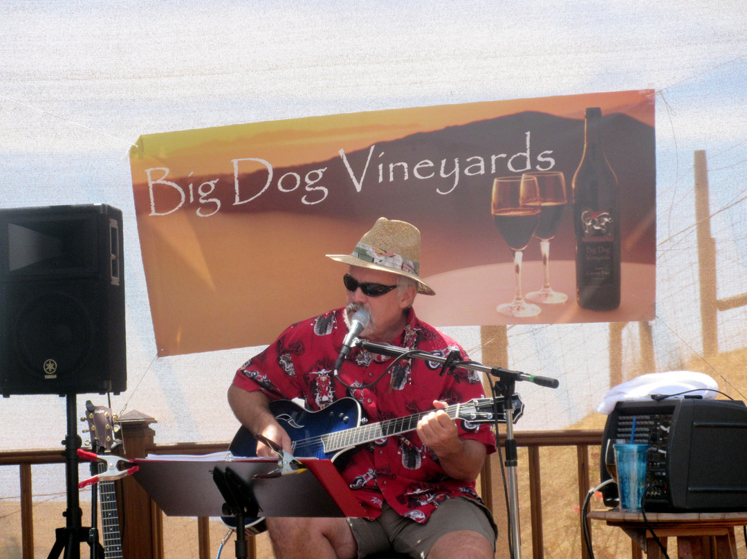 Big Dog Vineyards-米尔皮塔斯必去景点