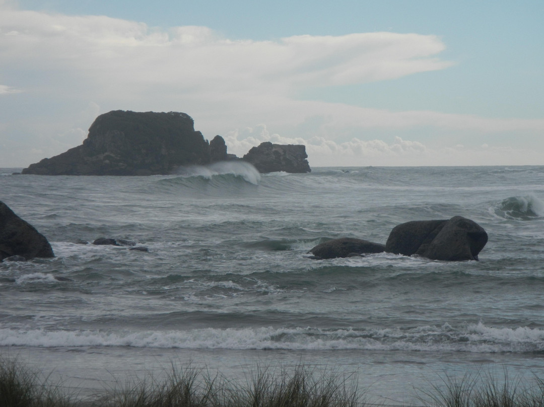 West Coast Surf景点图片