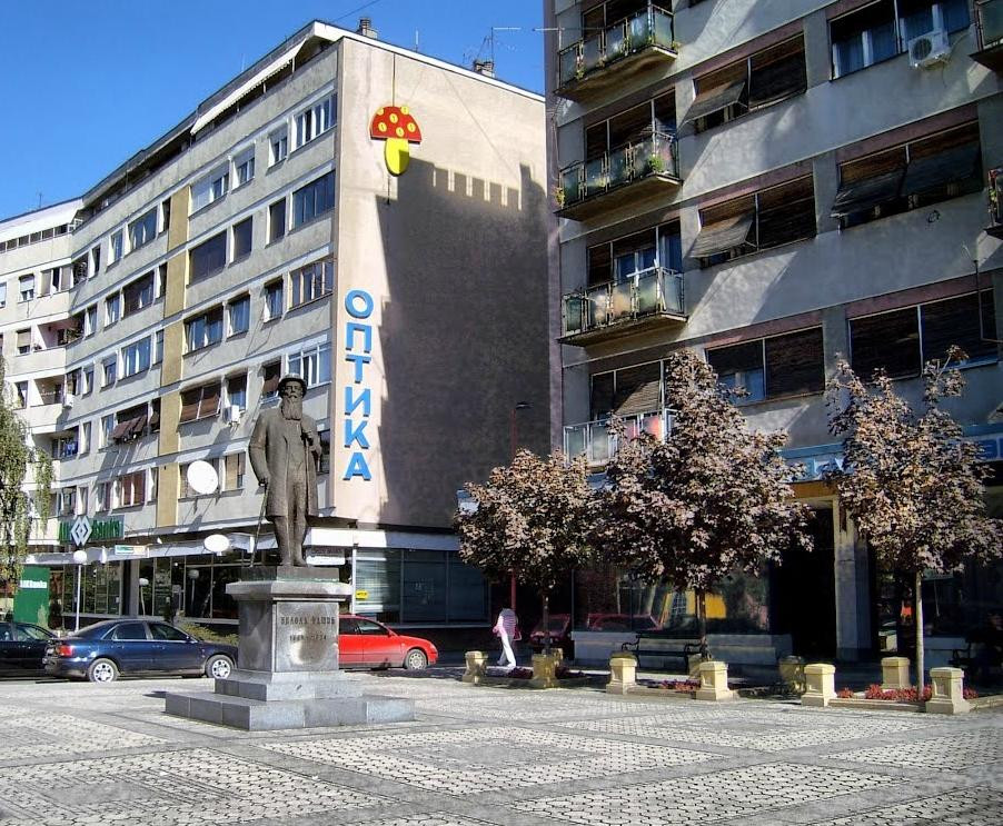 Monument of Nikola Pasic景点图片