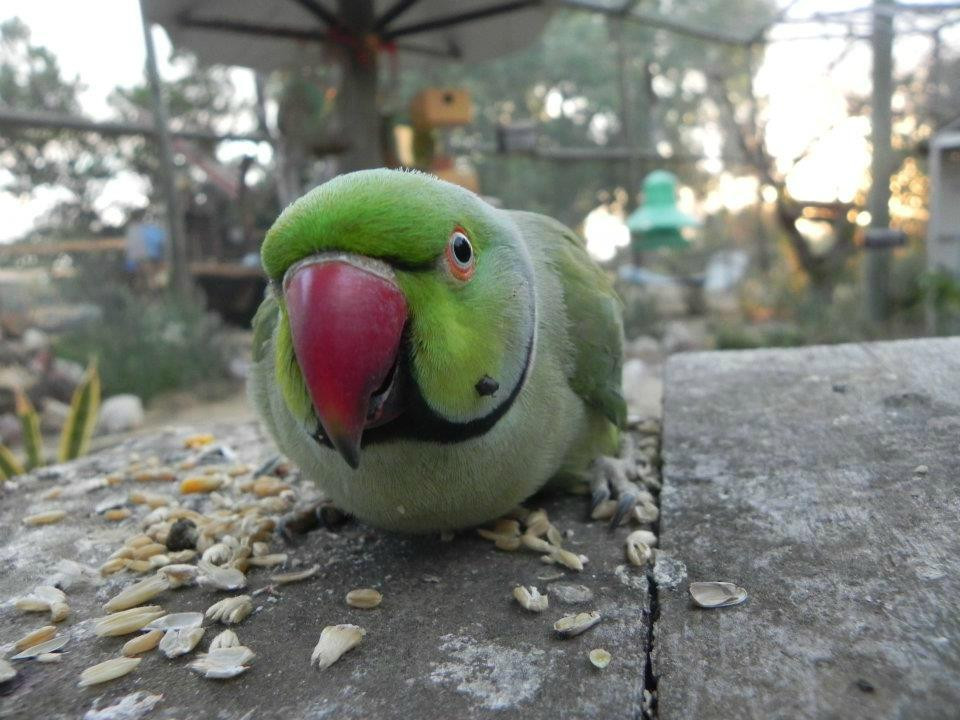 Waminda Wildlife Sanctuary-杰拉尔顿必去景点