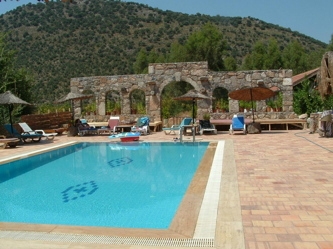 Levissi Han