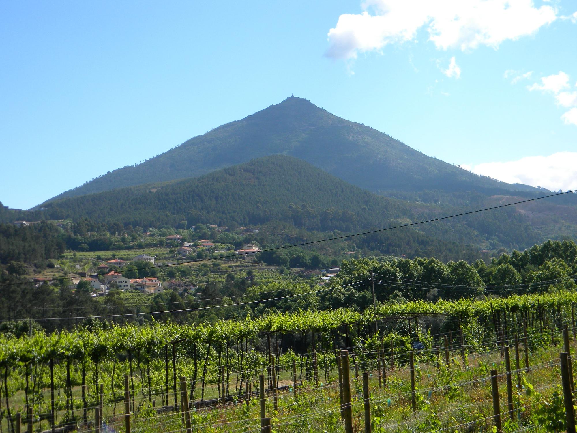 Quinta do Fundo-客卧