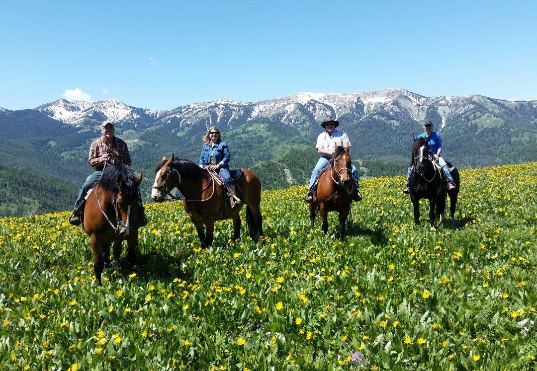 Willow Creek Horseback Rides-杰克逊必去景点