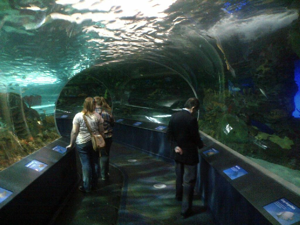 加拿大里普利水族馆-多伦多必去景点