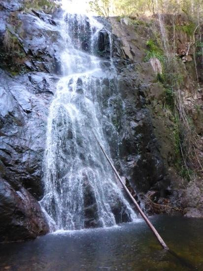 Waterfall Walk-Wauchope必去景点