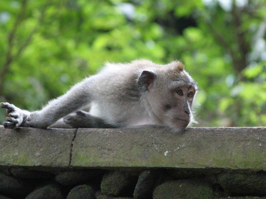 Bali Essential Tour-Kuta Selatan必去景点