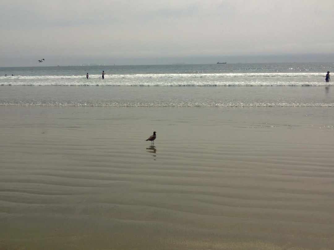 科罗纳市海滩-科罗纳多必去景点