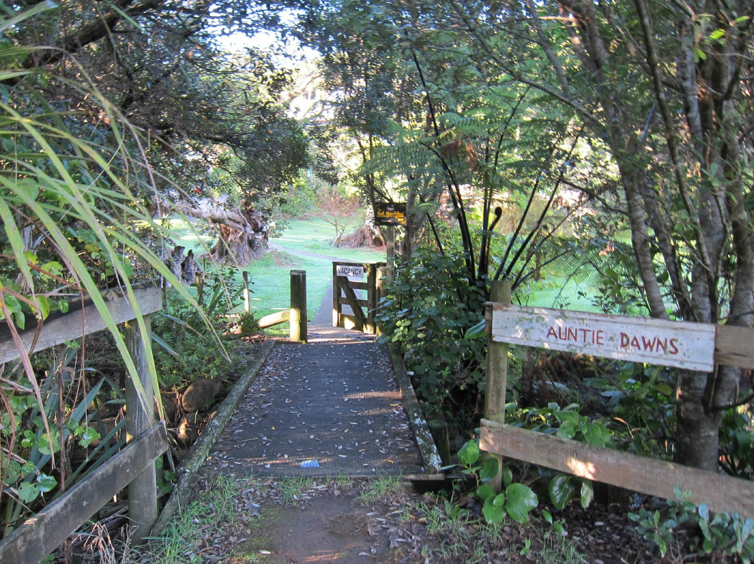 Auntie Dawns Place主图