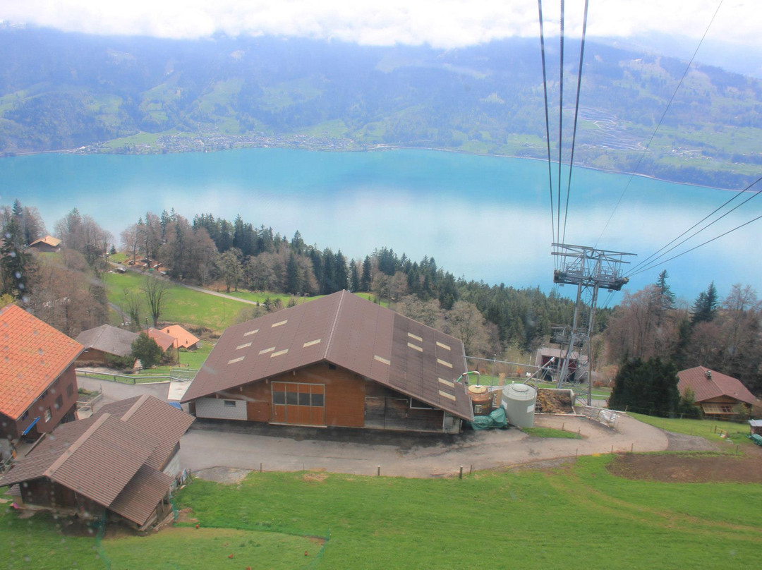 Cable Car Beatenberg-Niederhorn-贝阿滕贝格必去景点