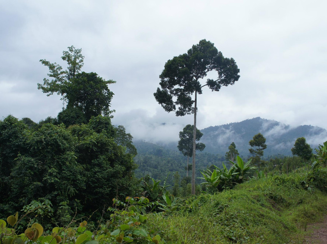Orou Sapulot-根地咬必去景点