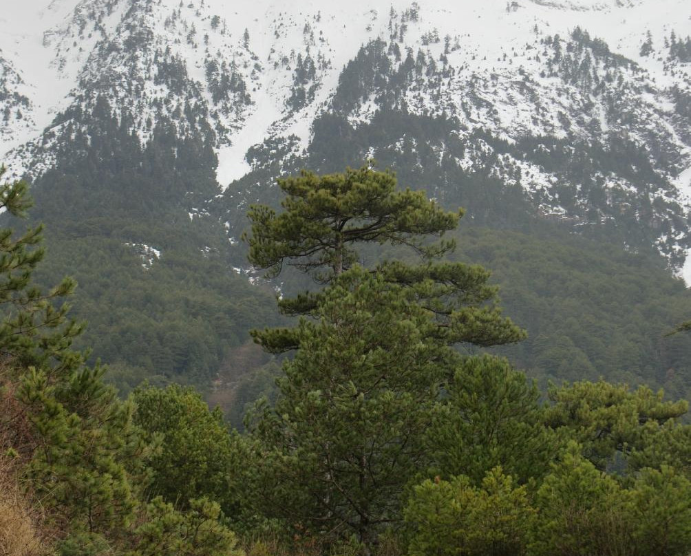 Taygetus Mountains景点图片