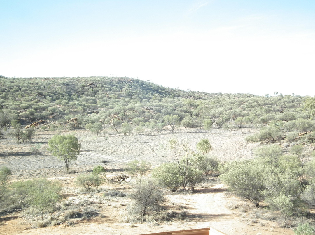 Burt Plain酒店住宿-Cavenagh Lodge B&B