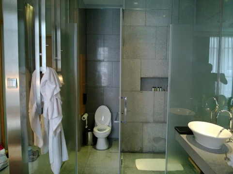 广州卡丽皇家金煦酒店主图