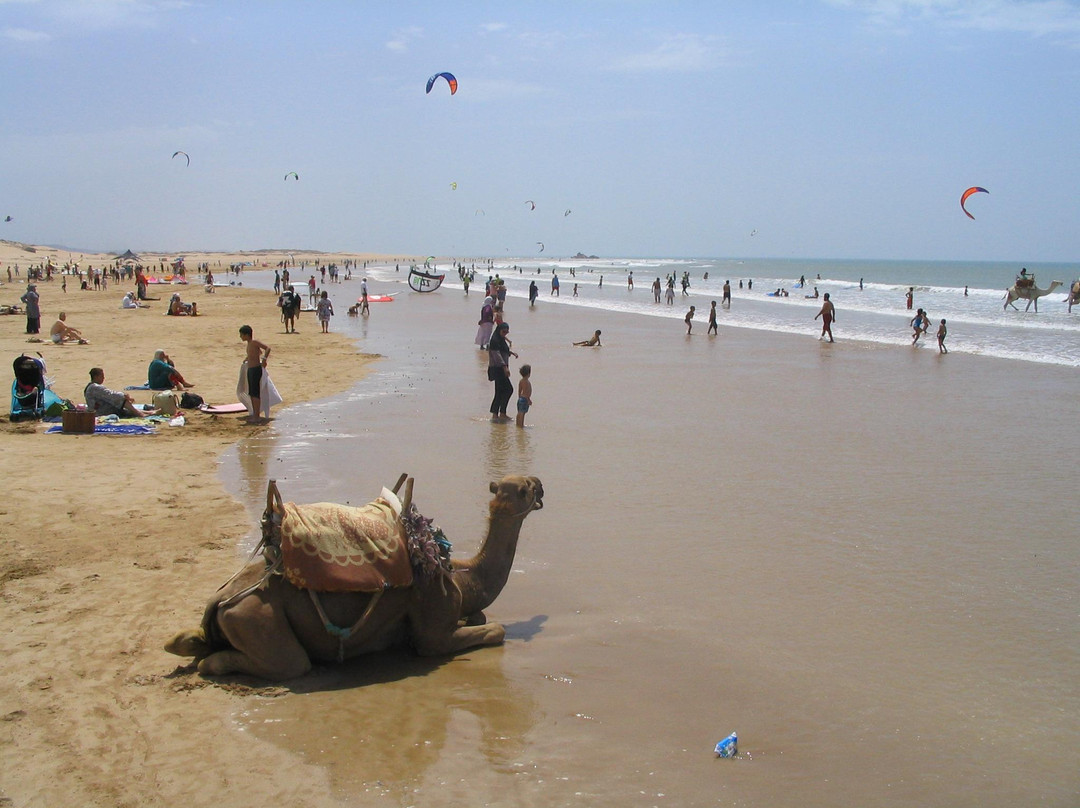 Essaouira Beach-索维拉必去景点