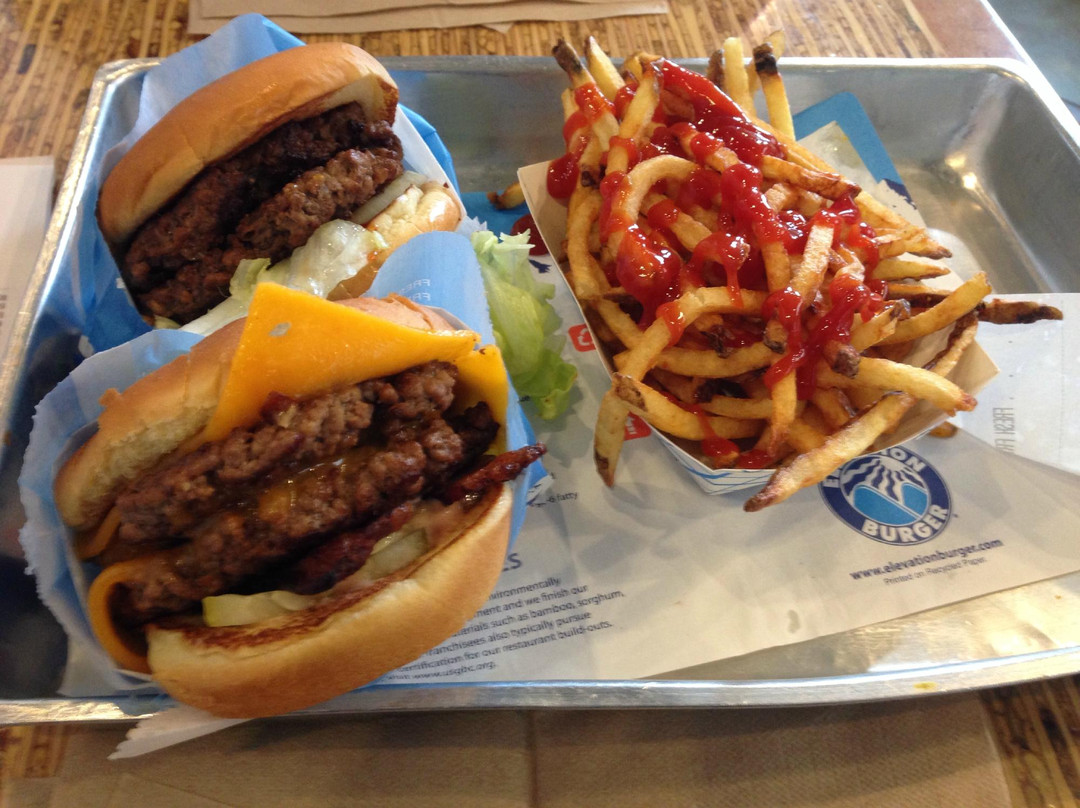 Elevation Burger